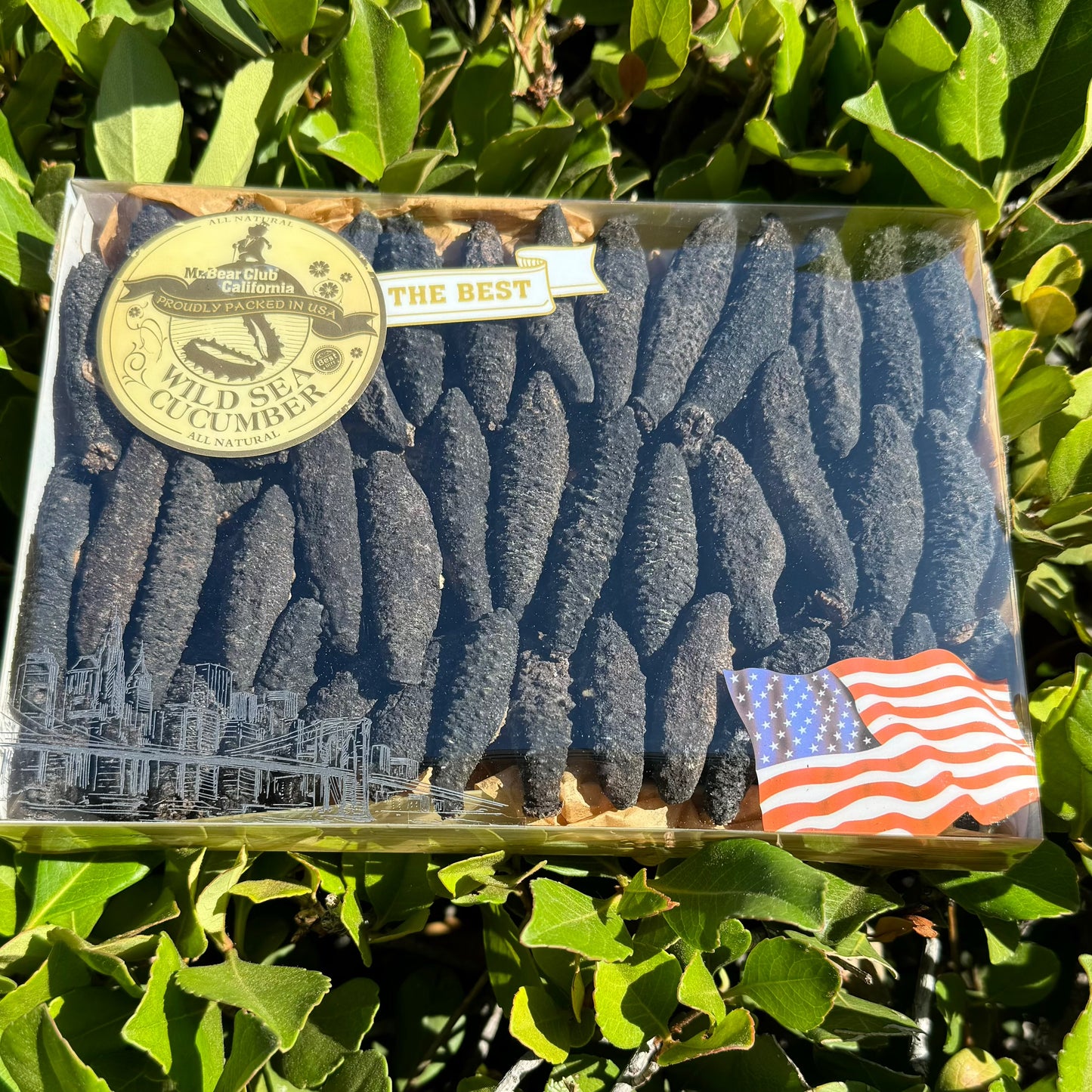 中黑刺M - Season eSHOP