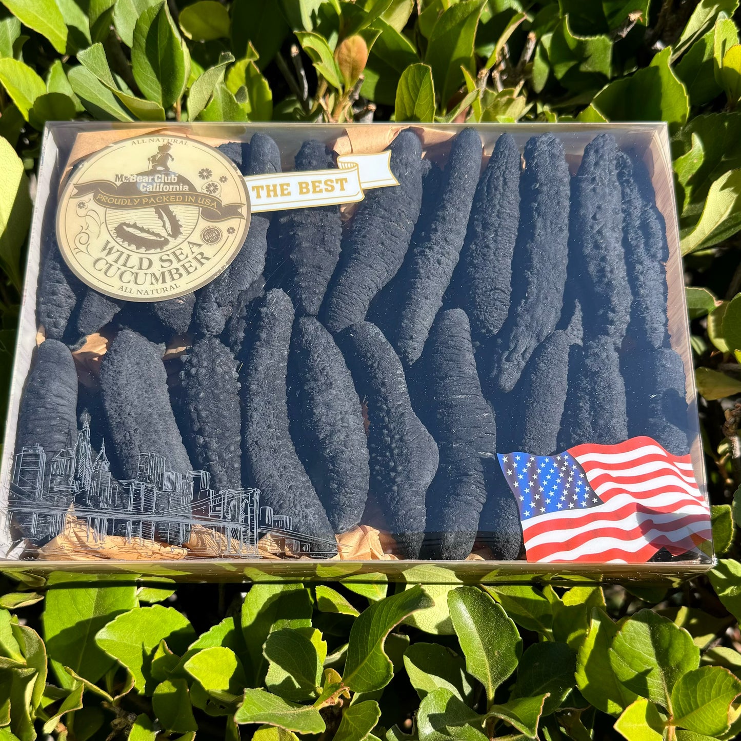 大黑刺L - Season eSHOP