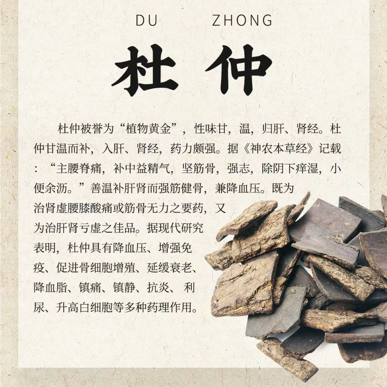 杜仲 - Season eSHOP