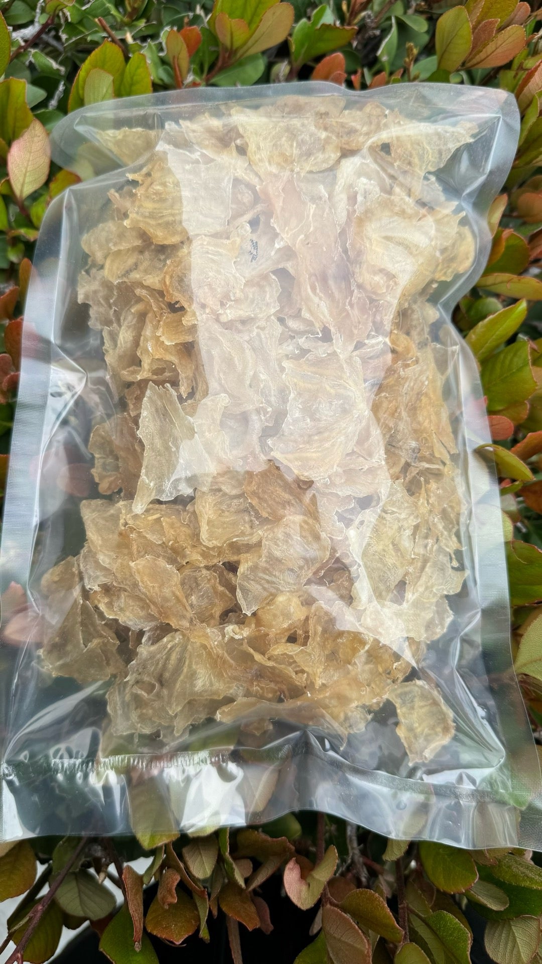 小蝴蝶胶 XS · 特价款(227 克) Butterfly Fish Maw XS · Special Offer (227g) - Season eSHOP