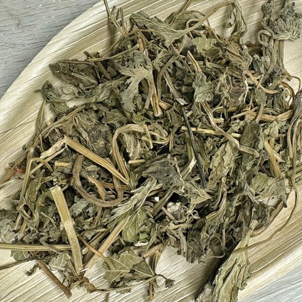 益母草 - Season eSHOP