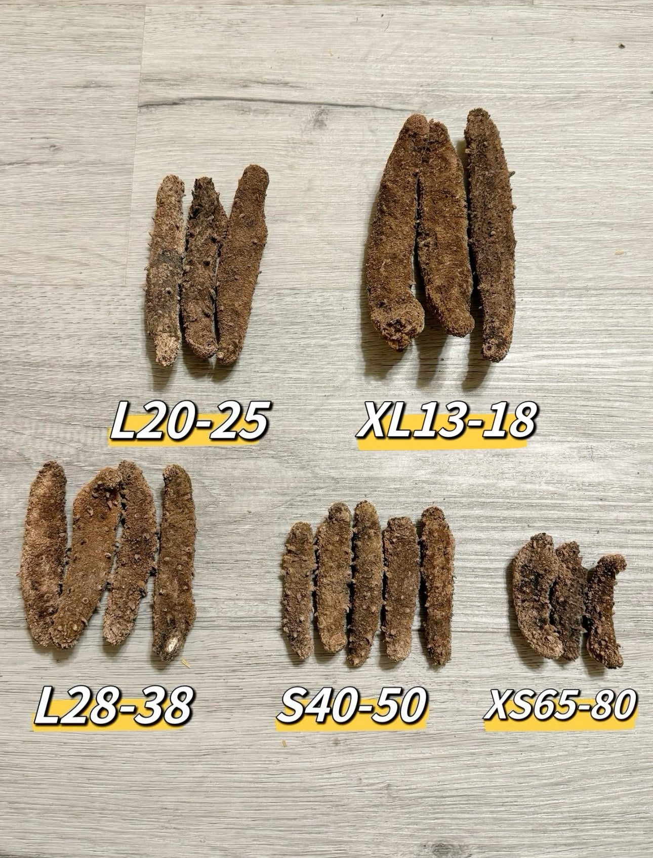 阿拉斯加红参S - Season eSHOP