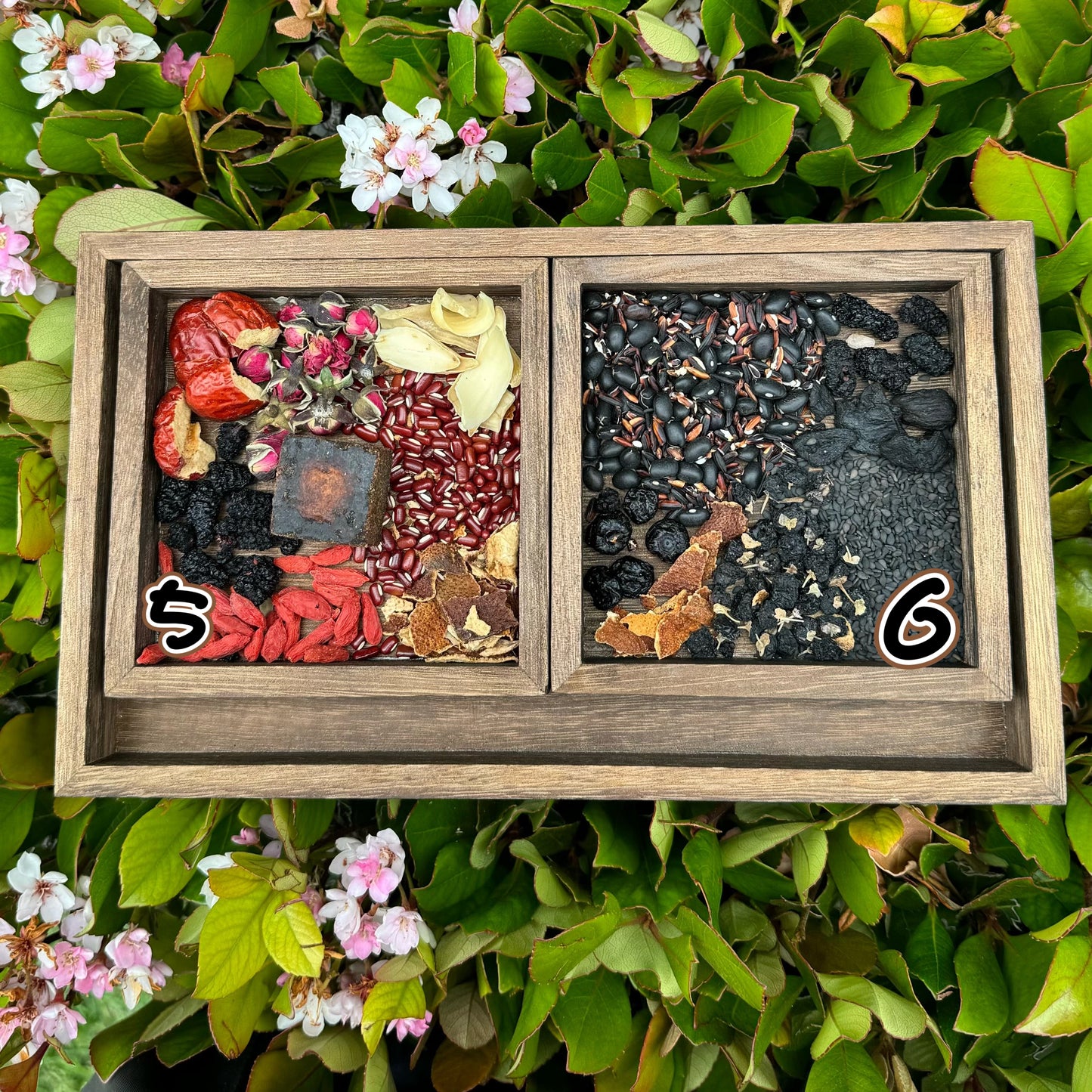 42天月子茶(非母乳款) - Season eSHOP