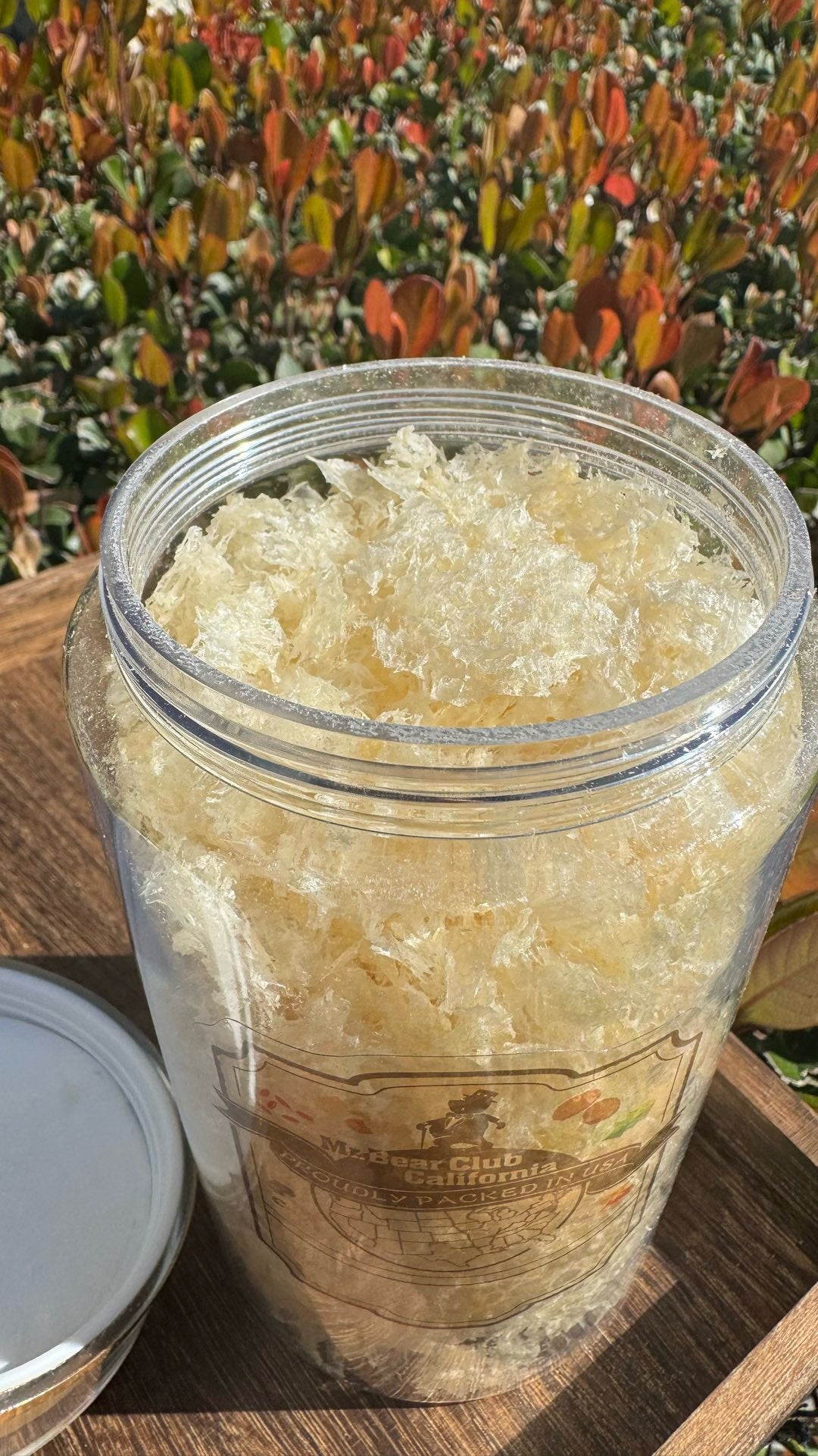 草本银耳 - Season eSHOP