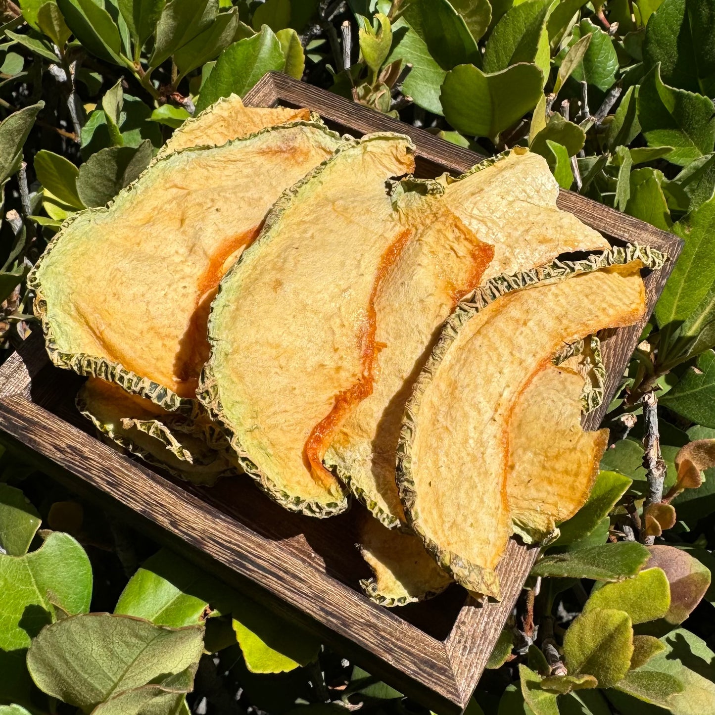 哈蜜瓜片 - Season eSHOP