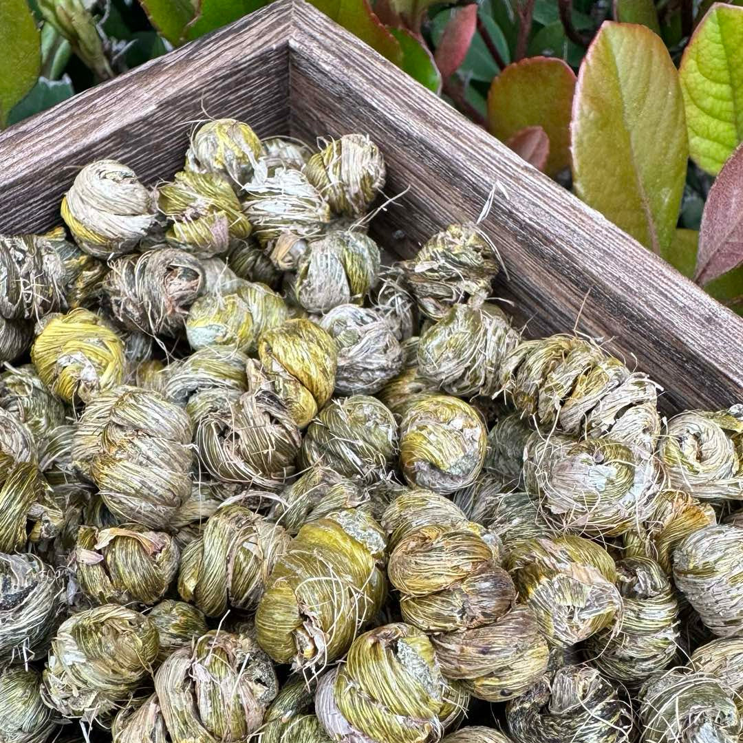 铁皮石斛 - Season eSHOP