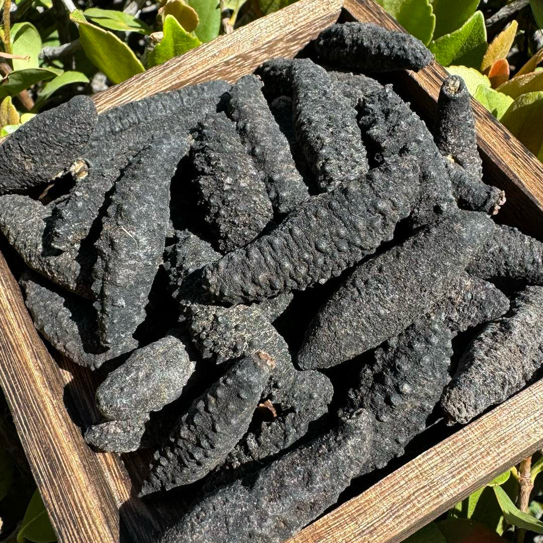 小黑刺S - Season eSHOP