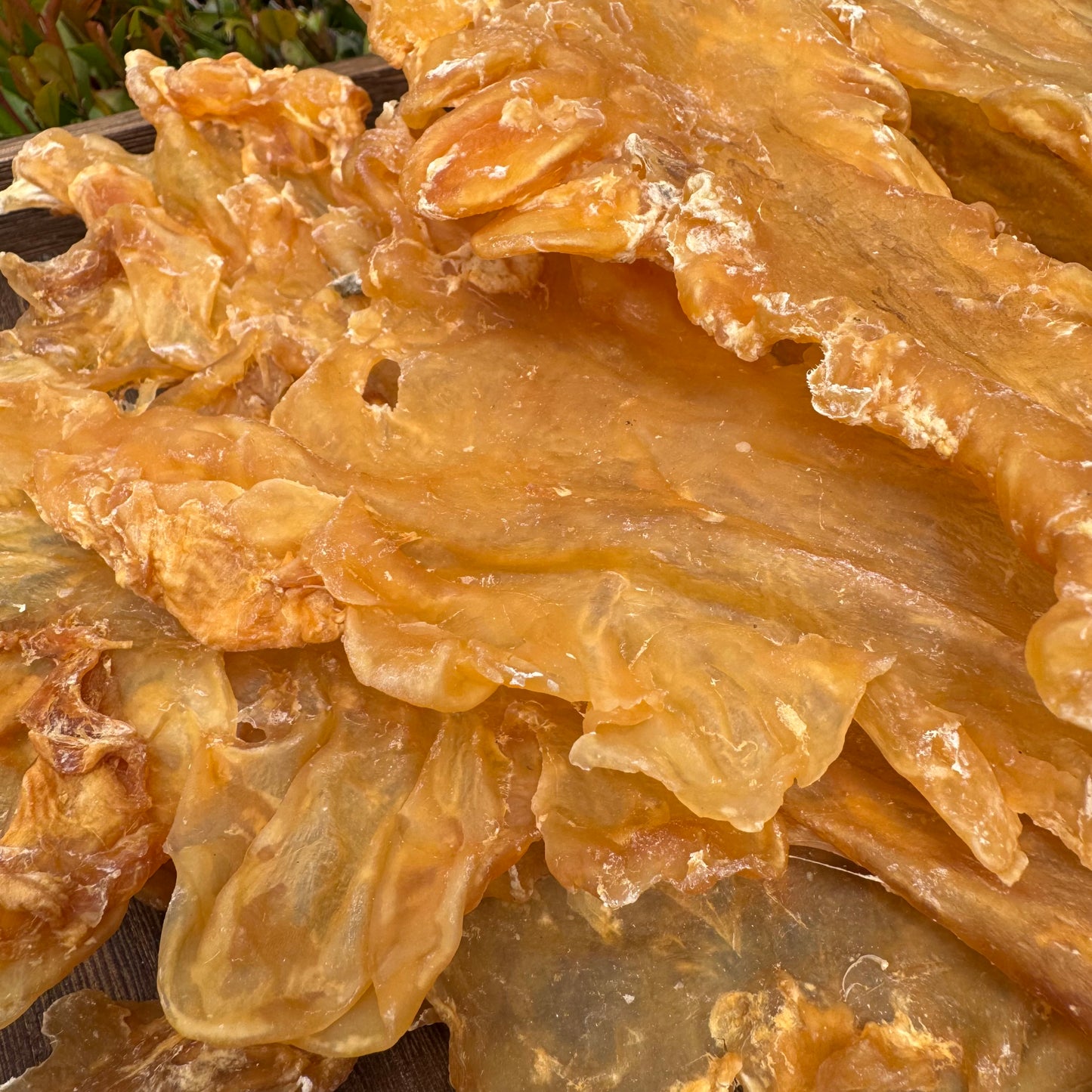 鳕鱼胶(5头) - Season eSHOP