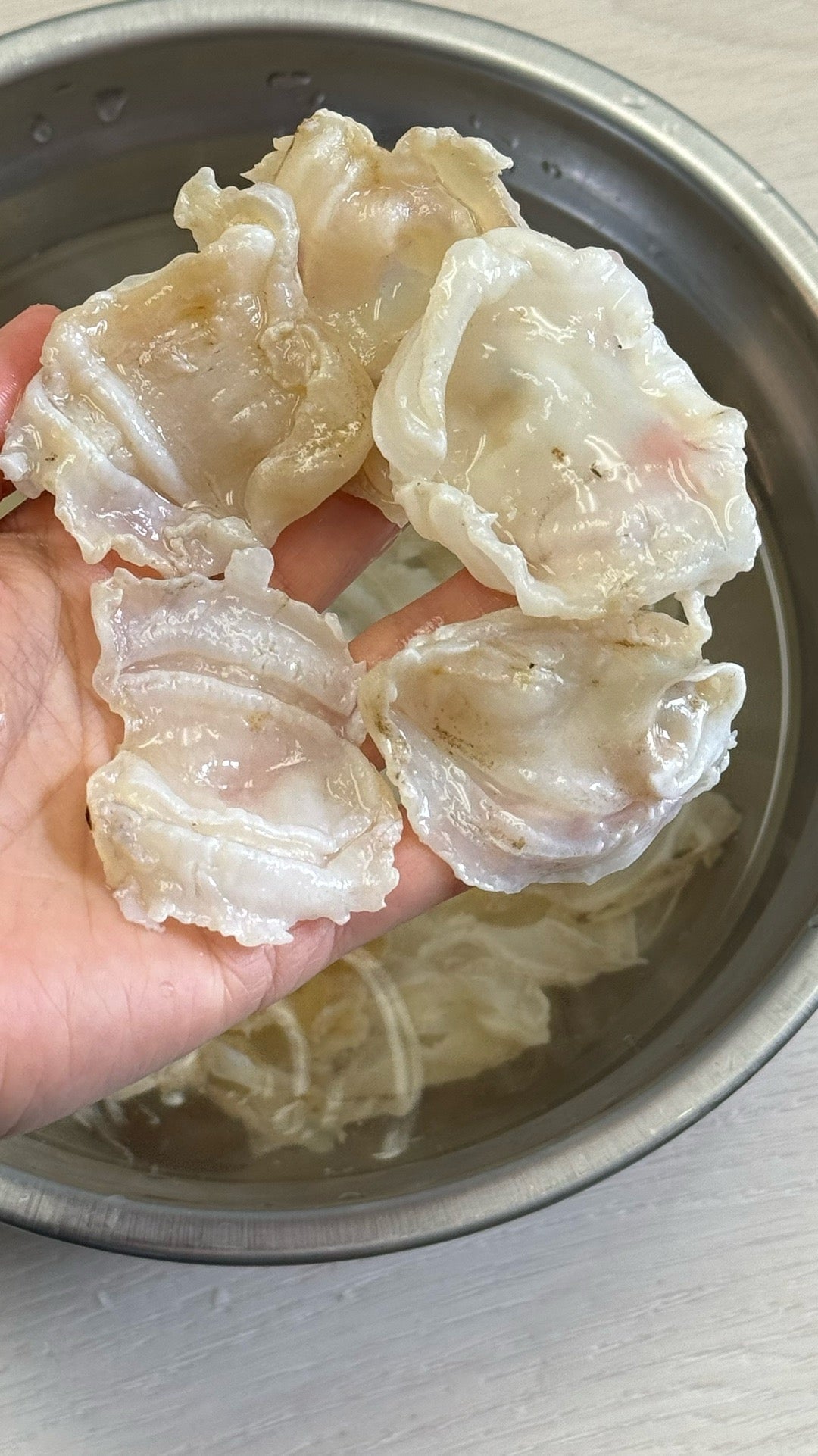 小蝴蝶胶 S · 特价款(227 克 · 约 75 头)
Small Butterfly Fish Maw S · Special Offer (227g · ~75 pcs) - Season eSHOP