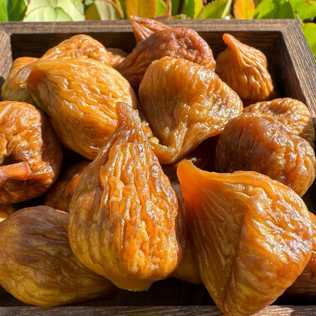 黄金无花果 - Season eSHOP