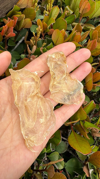 小蝴蝶胶 S · 特价款（227 克 · 约 75 头）
Small Butterfly Fish Maw S · Special Offer (227g · ~75 pcs) - Season eSHOP
