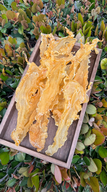 黄金鳕鱼胶
Golden Cod Fish Maw - Season eSHOP