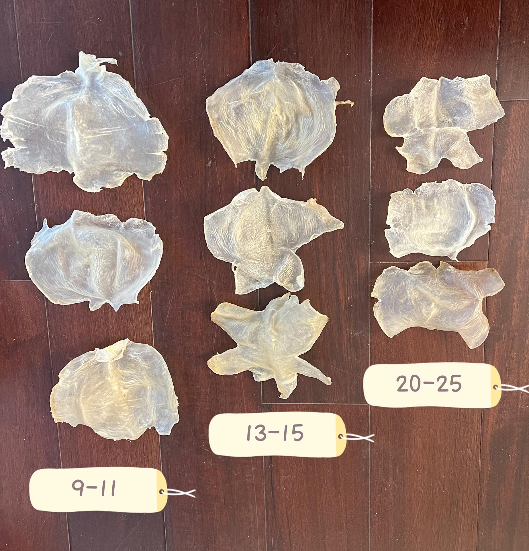 A级蝴蝶胶（15-20 头）
Grade A Butterfly Fish Maw - Season eSHOP