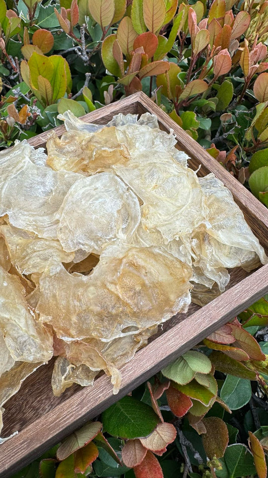 小蝴蝶胶 S · 特价款（227 克 · 约 75 头）
Small Butterfly Fish Maw S · Special Offer (227g · ~75 pcs) - Season eSHOP