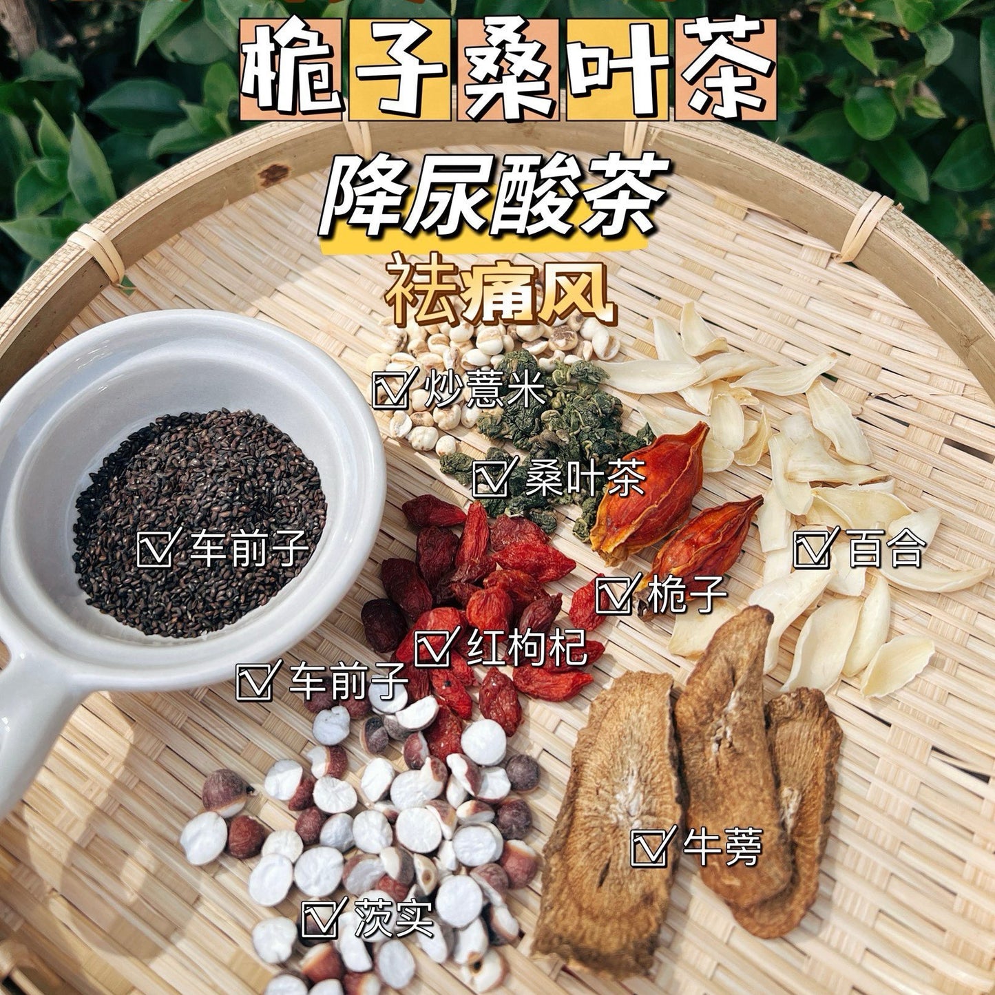 桅子桑叶茶 - Season eSHOP