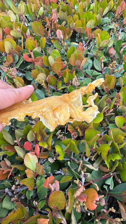 黄金鳕鱼胶
Golden Cod Fish Maw - Season eSHOP