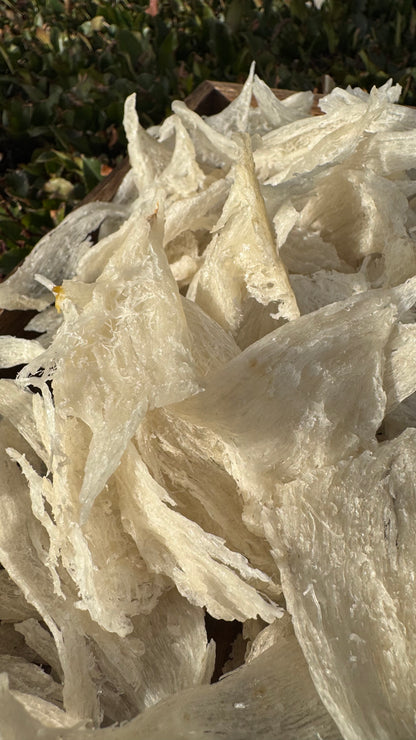 干挑小燕条 · 250 克装
Hand-Picked Small Bird’s Nest Strips · 250g - Season eSHOP