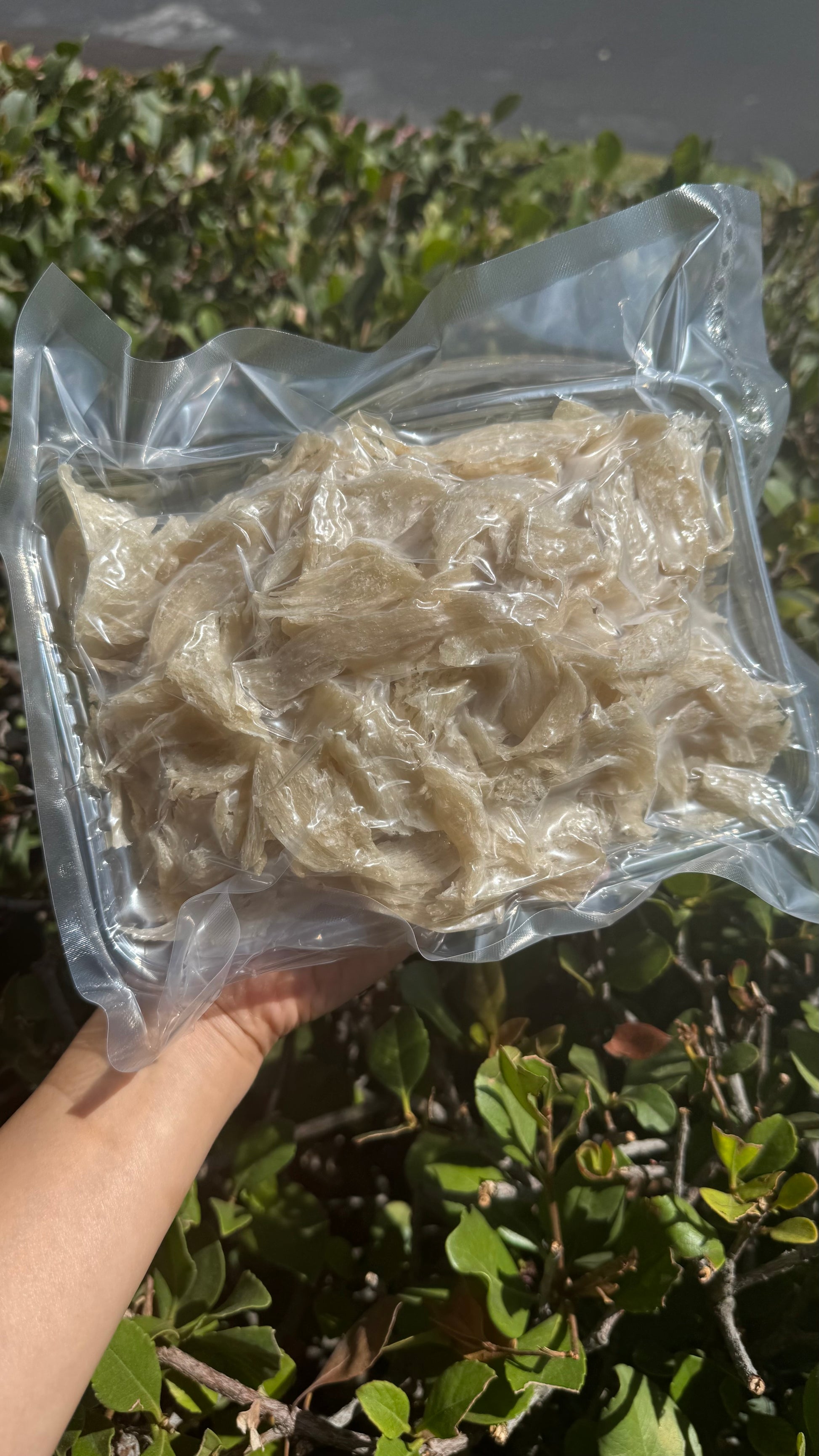 干挑小燕条 · 250 克装 Hand-Picked small Bird’s Nest Strips · 250g - Season eSHOP