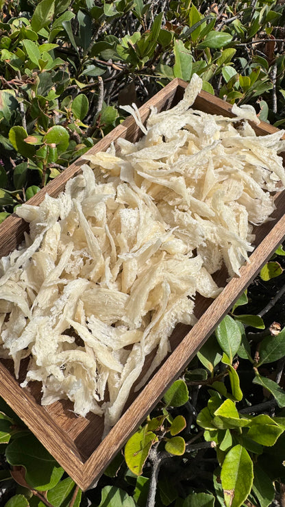 干挑小燕条 · 250 克装 Hand-Picked small Bird’s Nest Strips · 250g - Season eSHOP