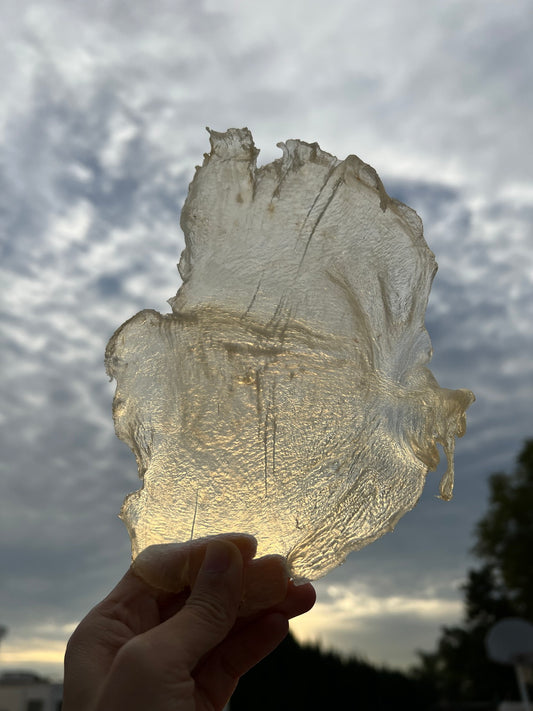 A级蝴蝶胶（15-20 头）
Grade A Butterfly Fish Maw - Season eSHOP