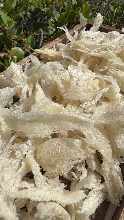 干挑小燕条 · 250 克装 Hand-Picked small Bird’s Nest Strips · 250g - Season eSHOP