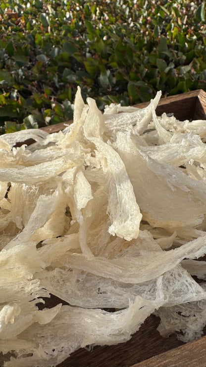 干挑小燕条 · 250 克装
Hand-Picked Small Bird’s Nest Strips · 250g - Season eSHOP