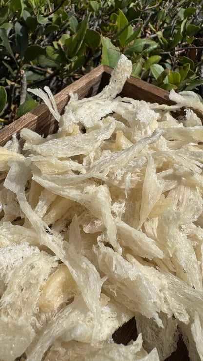 干挑小燕条 · 250 克装 Hand-Picked small Bird’s Nest Strips · 250g - Season eSHOP