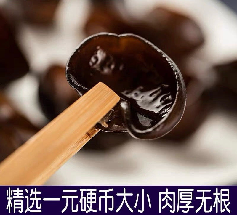 猫耳 - Season eSHOP