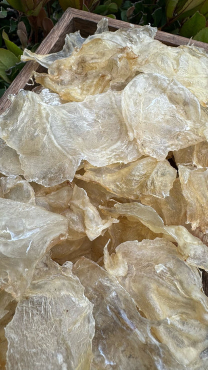 小蝴蝶胶 S · 特价款（227 克 · 约 75 头）
Small Butterfly Fish Maw S · Special Offer (227g · ~75 pcs) - Season eSHOP