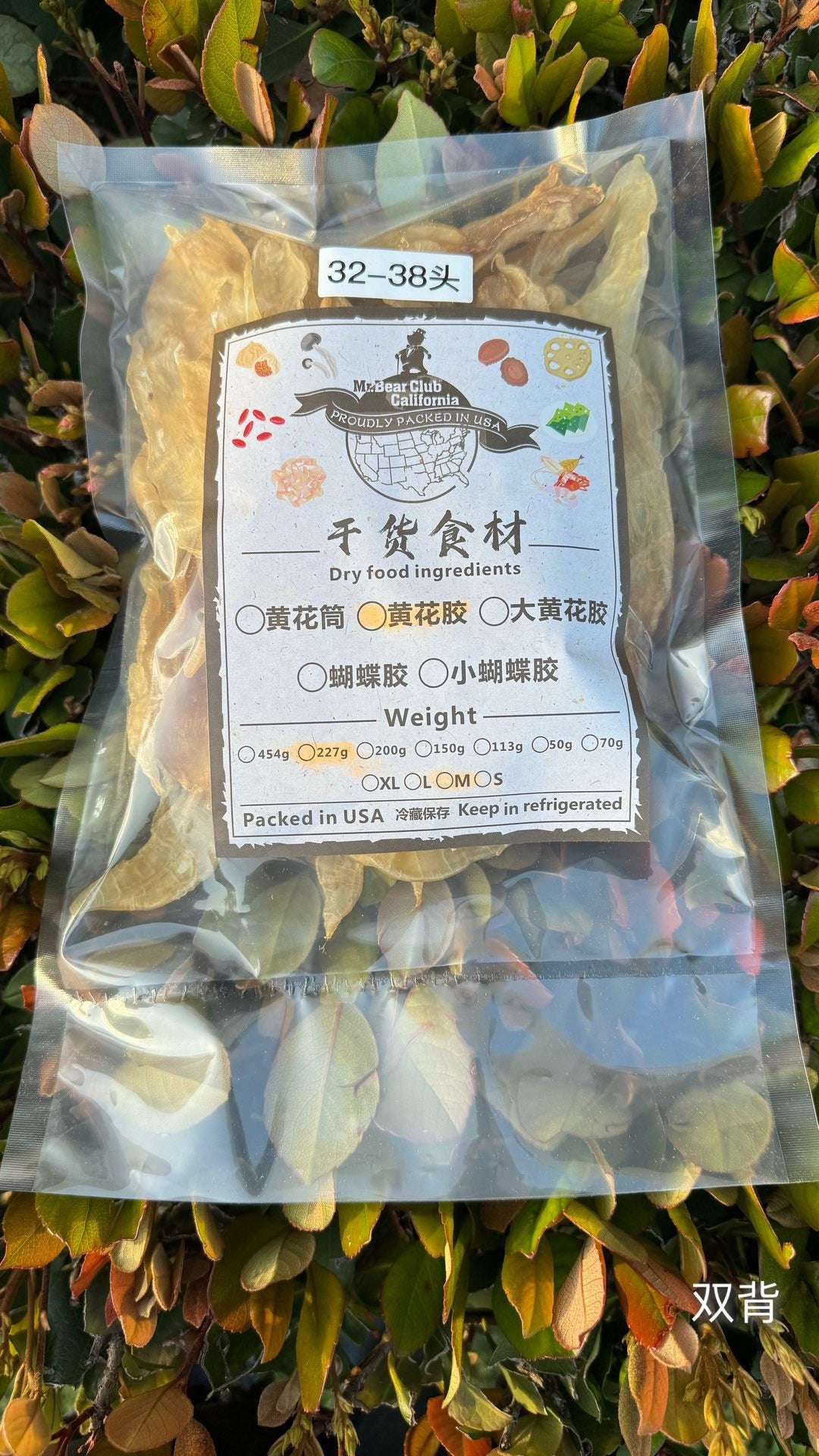 双背北海胶 · 
Double-Spine Northern Sea Fish Maw · Beihai Series - Season eSHOP