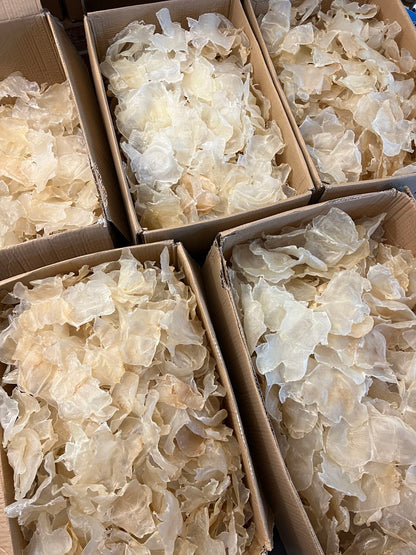 A级蝴蝶胶（15-20 头）
Grade A Butterfly Fish Maw - Season eSHOP