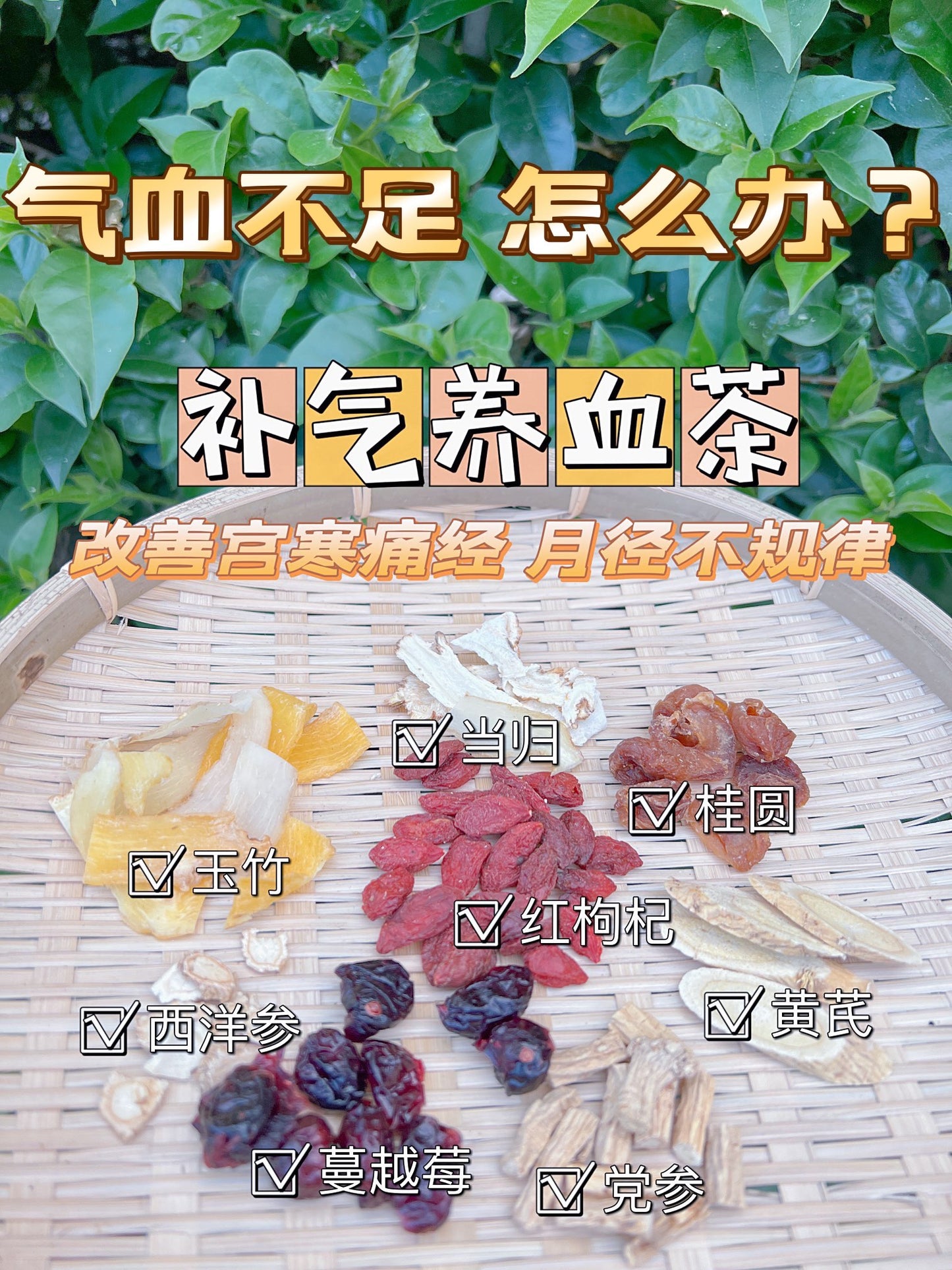 补气养血茶