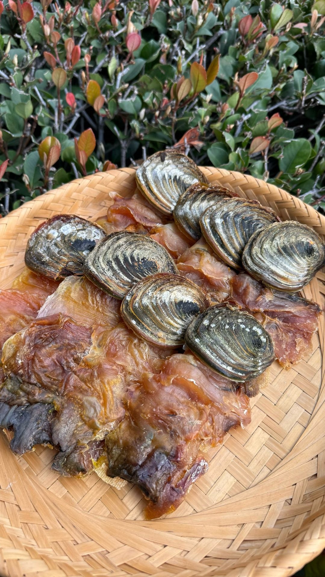 响螺肉 - Season eSHOP
